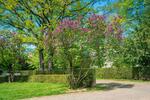 Etagenwohnung Chemnitz Hilbersdorf - 3 Zimmer, 75 m&sup2;, 375&euro; | Angebot:26681284