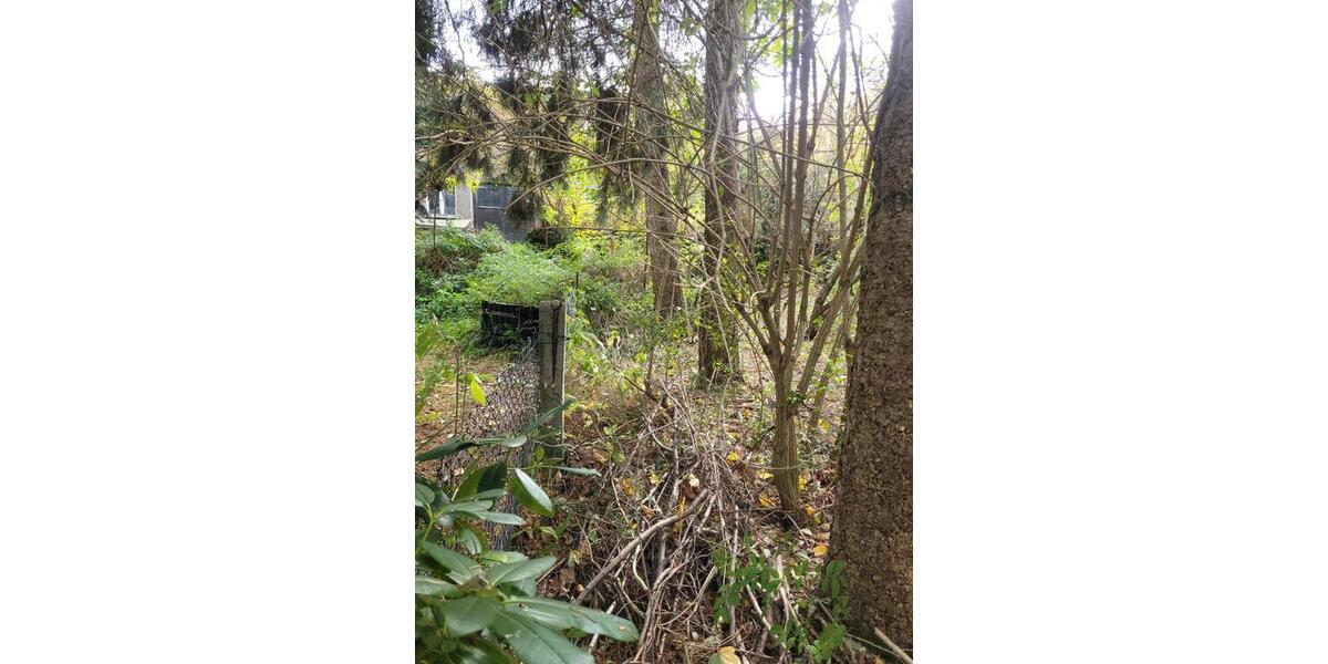 Einfamilienhaus Thermalbad Wiesenbad - 7 Zimmer, 70 m&sup2;, 15.000&euro; | Angebot:26786741