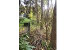 Einfamilienhaus Thermalbad Wiesenbad - 7 Zimmer, 70 m&sup2;, 15.000&euro; | Angebot:26786741