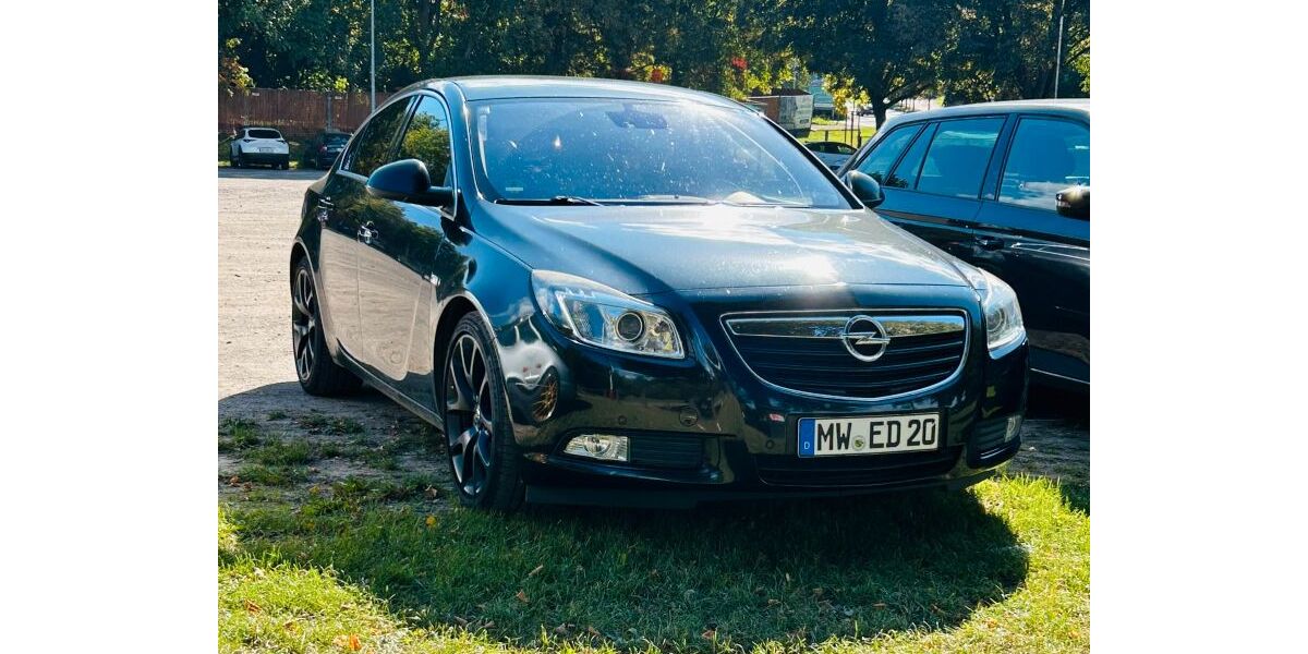 Opel Insignia 255.267 km 3.500 &euro; Wechselburg 09306