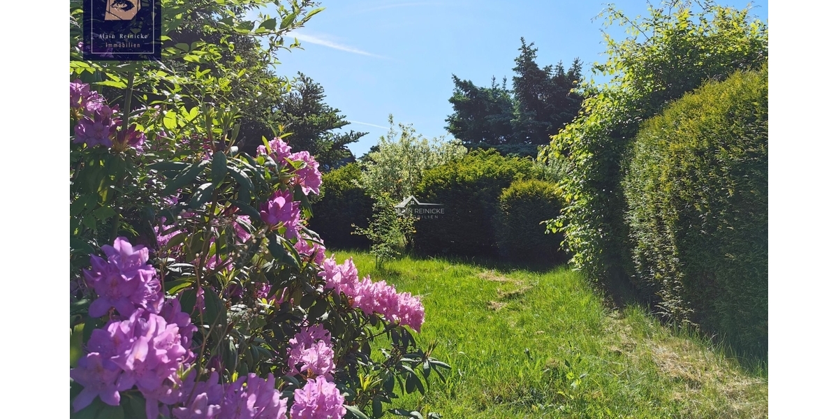 Kompakte DHH mit Traumgrundstück 4 zimmer