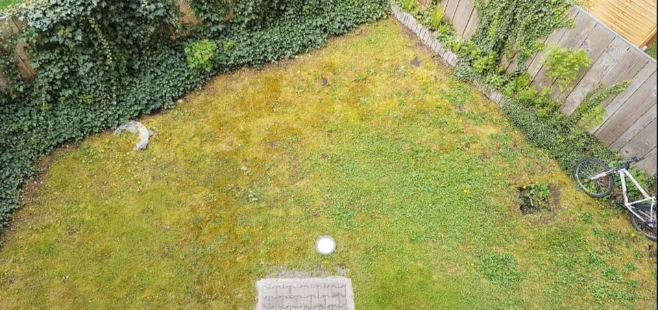 Dachgeschoßwohnung Chemnitz Altendorf - 2 Zimmer, 45 m&sup2;, 300&euro; | Angebot:26340765