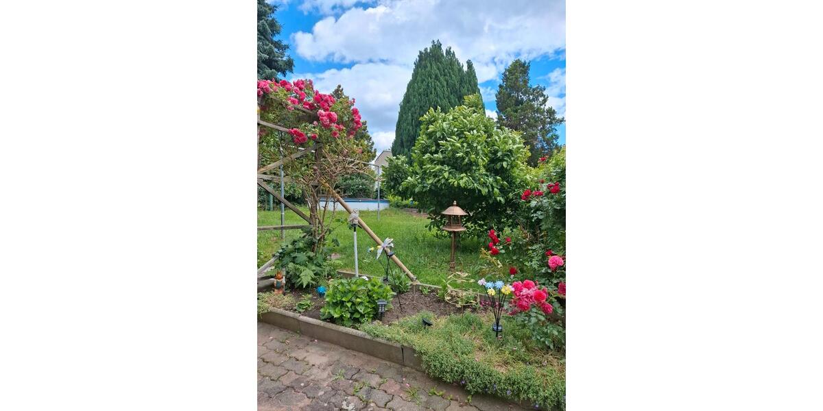 Mehrfamilienhaus, Wohnhaus Frankenberg (Sachsen) - 12 Zimmer, 224 m&sup2;, 125.000&euro; | Angebot:26881264