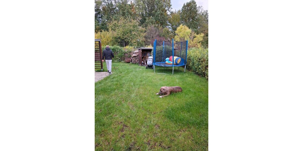 Grundstück Chemnitz Markersdorf - 1.500&euro; | Angebot:25050173