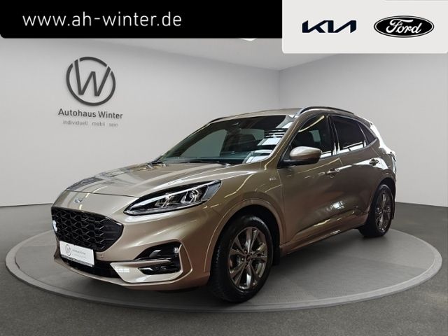 Kuga