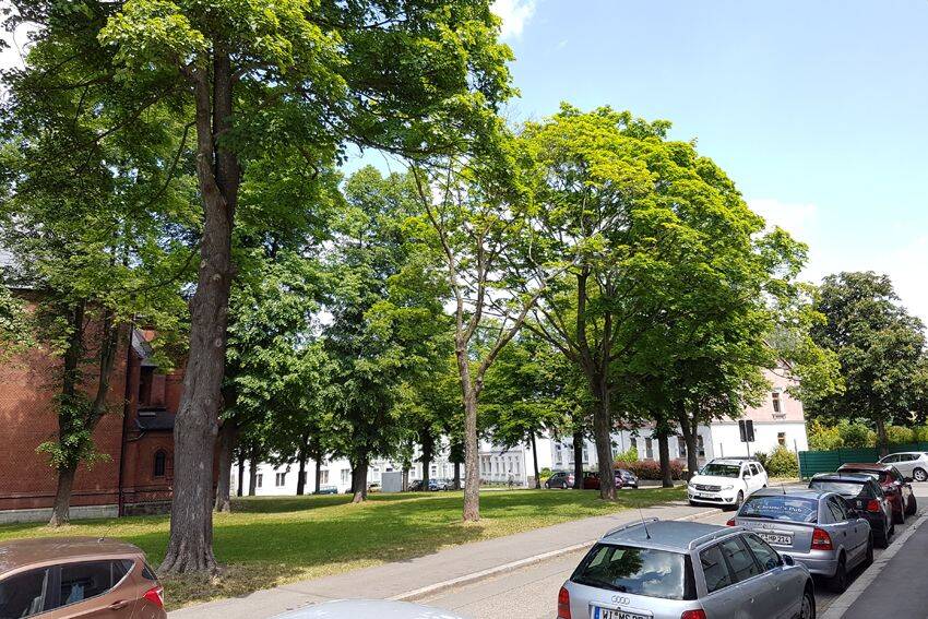 Mehrfamilienhaus, Wohnhaus Chemnitz / Gablenz Gablenz - 1 Zimmer, 420 m&sup2;, 500.000&euro; | Angebot:26918204