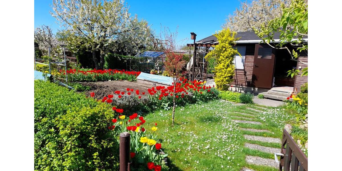 Grundstück Chemnitz Adelsberg - 100&euro; | Angebot:25598941