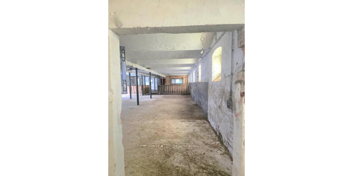 Pferdestallanlage mit Weideflächen in Kriebstein OT Ehrenberg zur Pacht! - Gewerbeobjekt Kriebstein Ehrenberg | Angebot:27180204