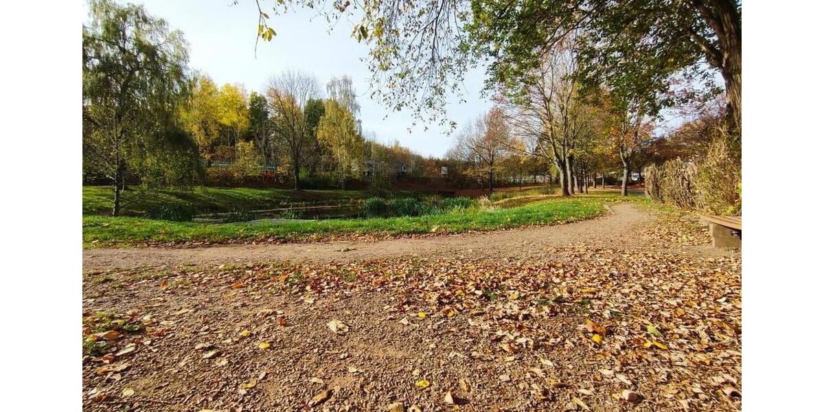 Etagenwohnung Chemnitz Helbersdorf - 1 Zimmer, 32 m&sup2;, 152&euro; | Angebot:25794233