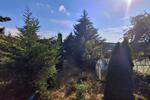 Doppelhaushälfte Hainichen - 139.000&euro; | Angebot:27117394