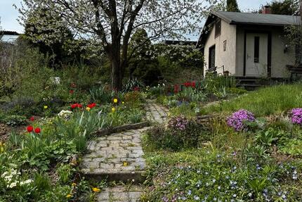 Grundstück Chemnitz Borna-Heinersdorf - 1.000&euro; | Angebot:25176643