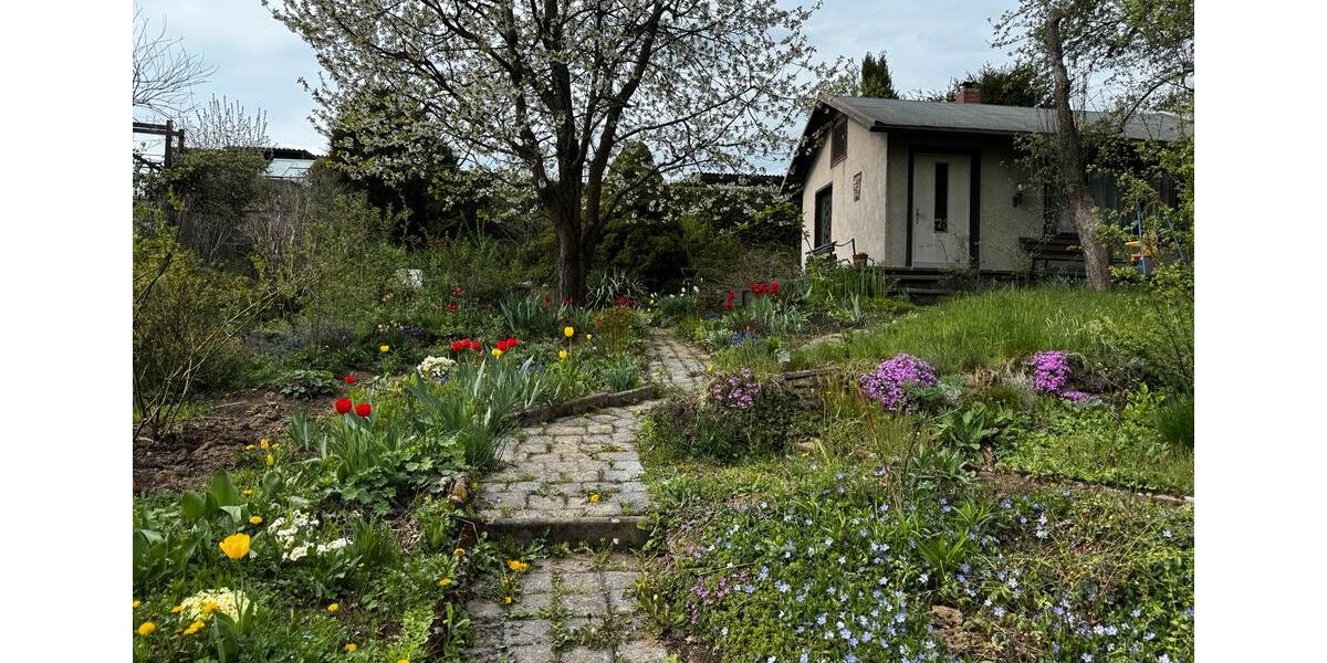 Grundstück Chemnitz Borna-Heinersdorf - 1.000&euro; | Angebot:25176643