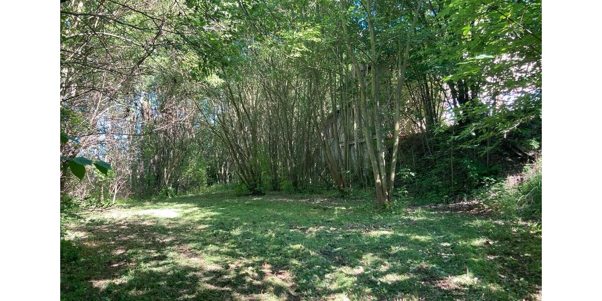 Einfamilienhaus Glauchau - 195.000&euro; | Angebot:26786751