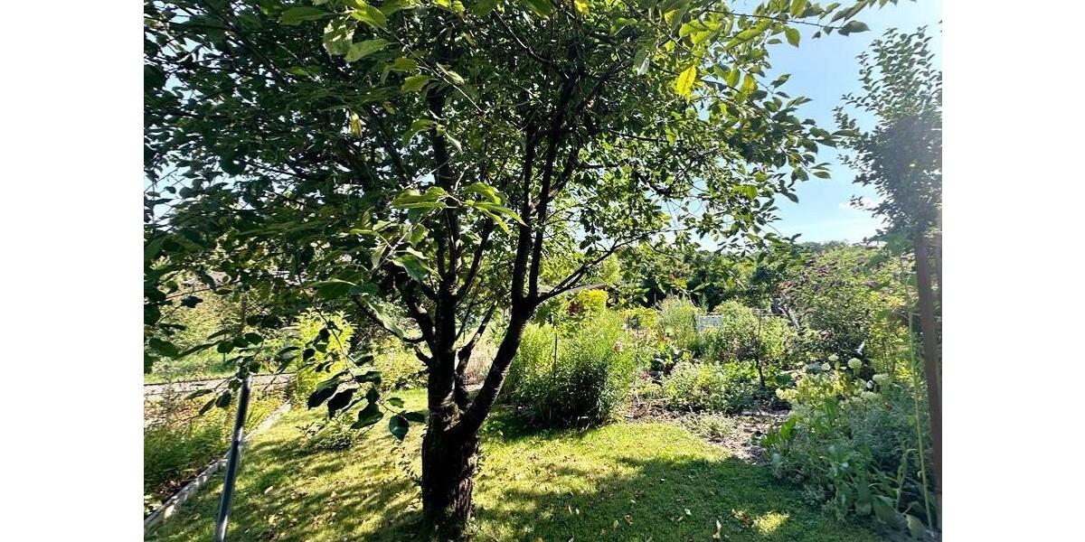 Grundstück Chemnitz Borna-Heinersdorf - 990&euro; | Angebot:26646441