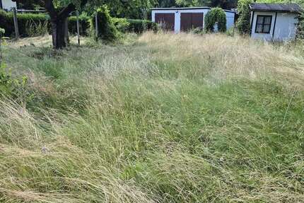 Grundstück zu verkaufen in Oelsnitz 50.000 € 826 m² zimmer