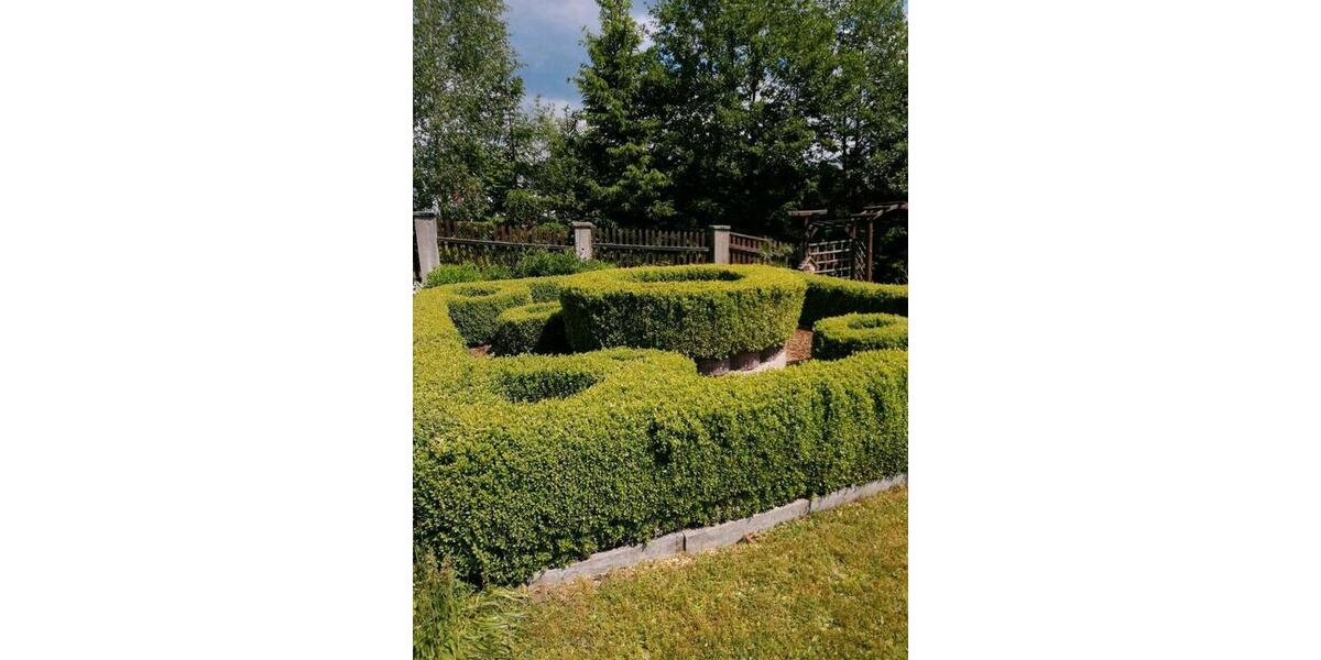 Grundstück Marienberg - 2.500&euro; | Angebot:26473098