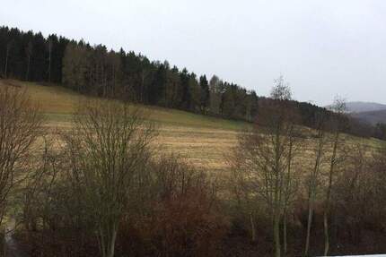 3-Raum-Wohnung mit Balkon und Einbauküche in Lößnitz 3 zimmer