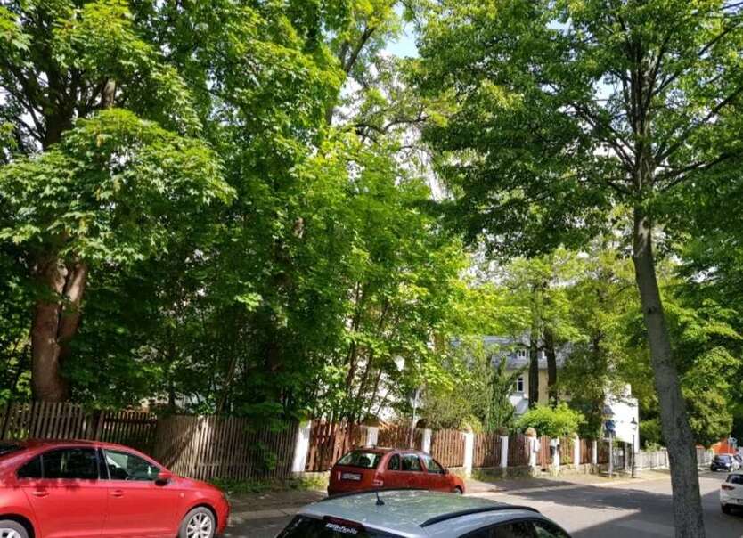 Wohnung zum Mieten in Chemnitz 280 € 55 m²