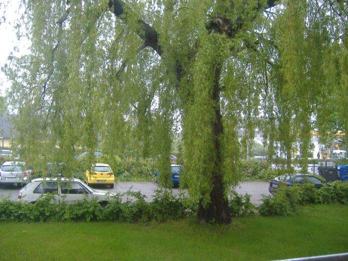 + Zschopauer STr. - 3 RAUM -Wohnung im beliebten Wohngebiet HEIMGARTEN+ 3 zimmer