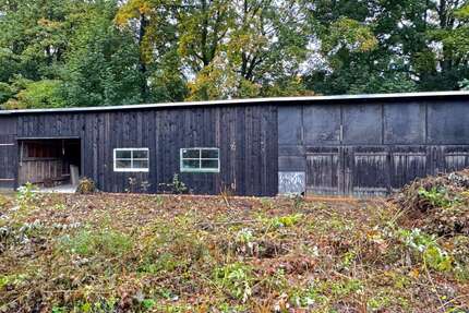 Grundstück Lößnitz - 49.500&euro; | Angebot:25721267