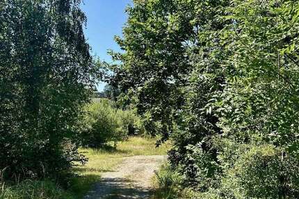 Grundstück zu verkaufen in Wildenfels 379.000 € 6662 m² zimmer