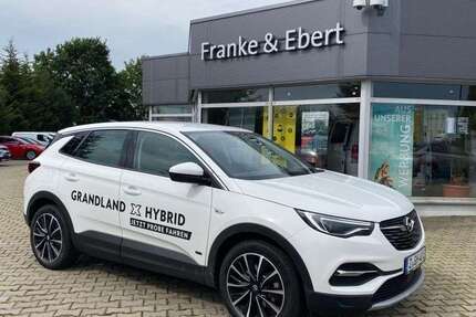 Opel Grandland X 35.000 km 23.990 &euro; Reinsdorf OT Friedrichsgrün 08141