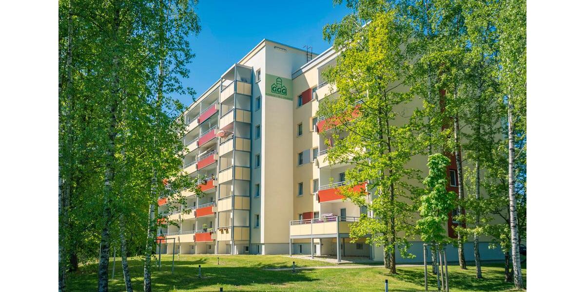 Etagenwohnung Chemnitz Borna-Heinersdorf - 1 Zimmer, 36 m&sup2;, 220&euro; | Angebot:25397732