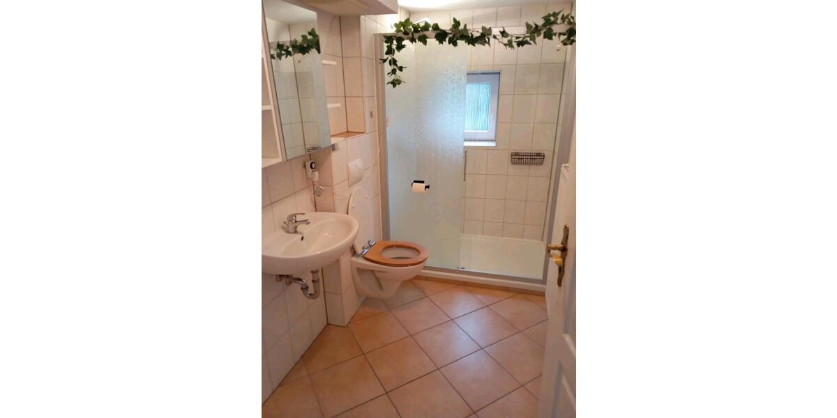 Einfamilienhaus Mittweida - 6 Zimmer, 100 m&sup2;, 1.040&euro; | Angebot:26234107