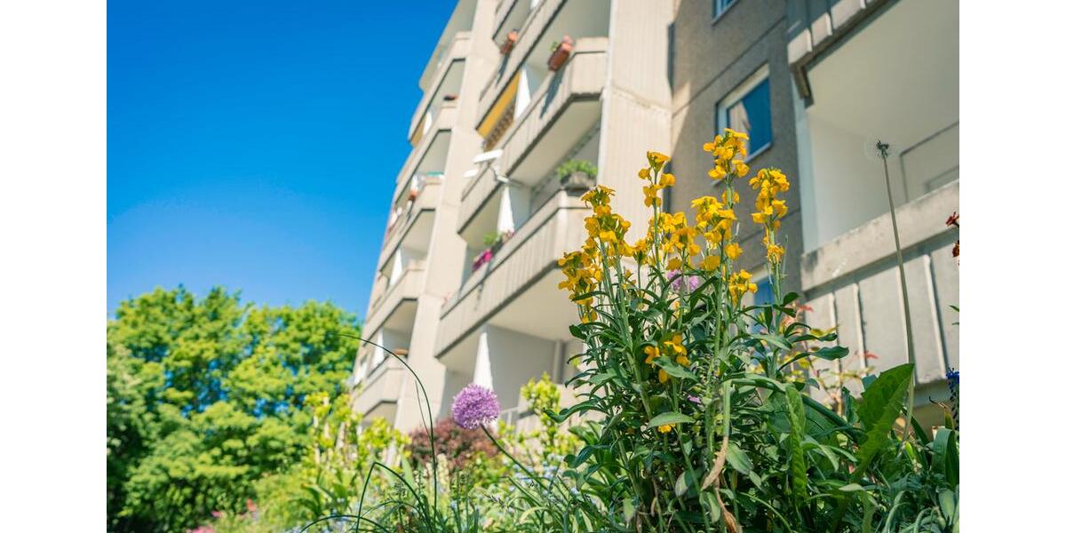 Etagenwohnung Chemnitz Borna-Heinersdorf - 3 Zimmer, 53 m&sup2;, 250&euro; | Angebot:24959140