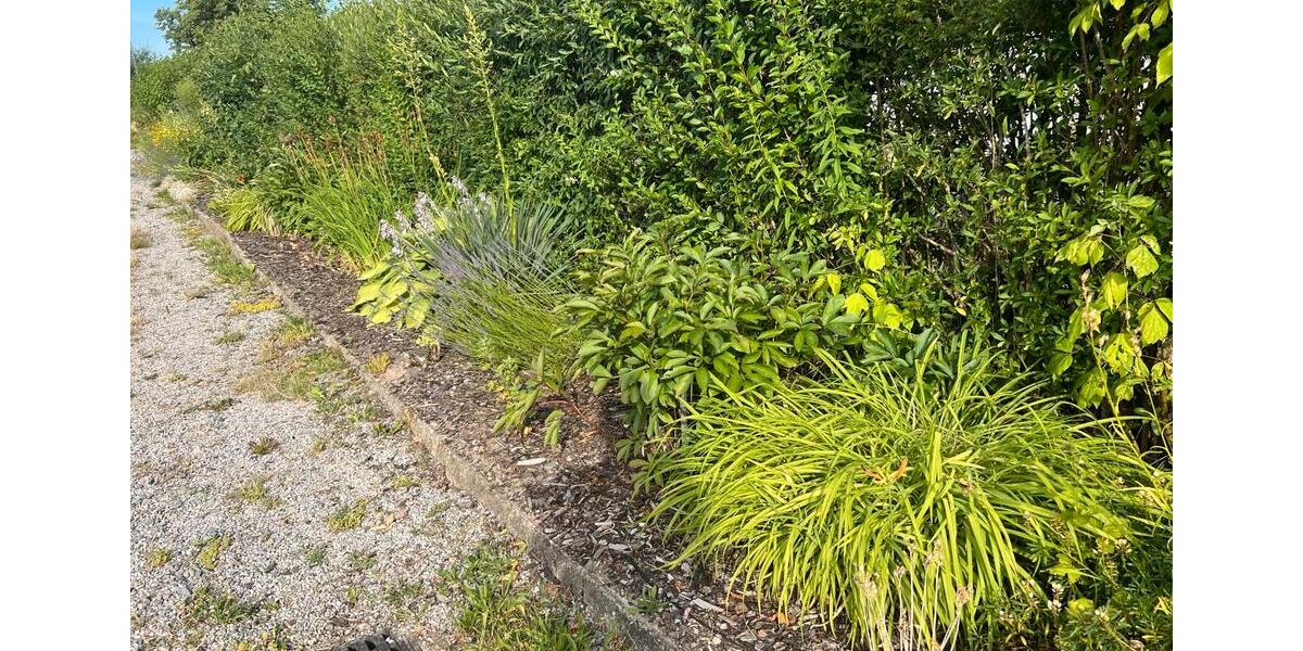 Grundstück Chemnitz Ebersdorf - 800&euro; | Angebot:26119462