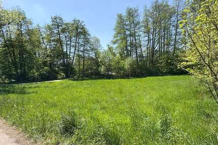 Grundstück zu verkaufen in Hartenstein 23.000 € 2280 m² zimmer