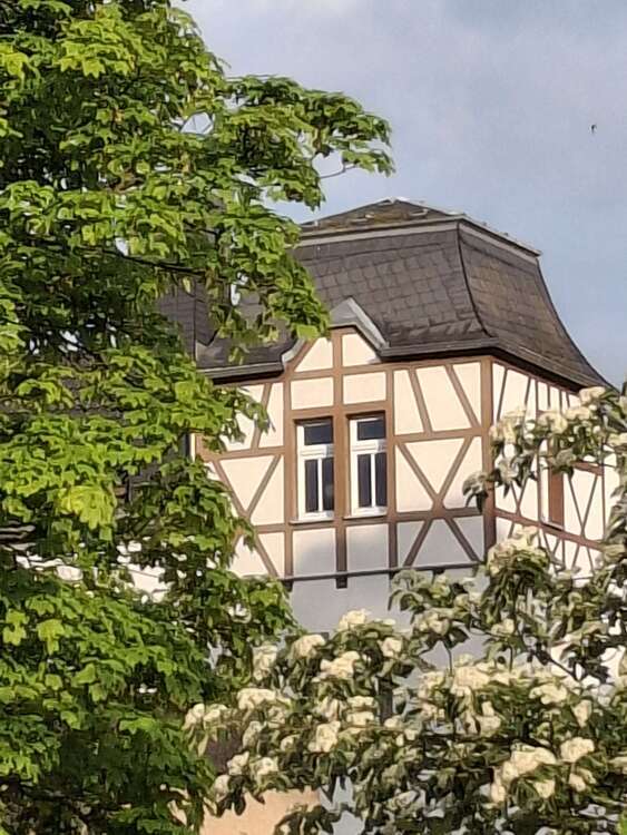 Wohnung zum Mieten in Schwarzenberg 330 € 54.54 m²