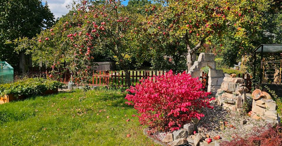 Grundstück Chemnitz Ebersdorf - 4.000&euro; | Angebot:25266373