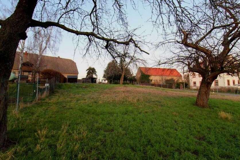 Grundstück zu verkaufen in Wechselburg 39.500 € 1500 m²