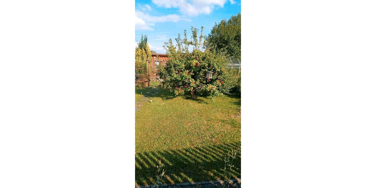 Grundstück Chemnitz - 890&euro; | Angebot:26539835