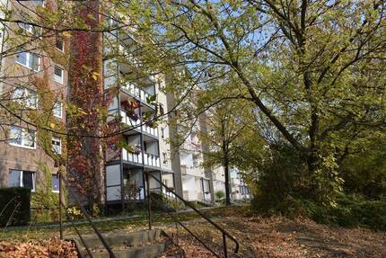 Wohnung Hainichen - 3 Zimmer, 54 m&sup2;, 275&euro; | Angebot:26411044