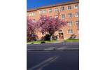 Etagenwohnung Chemnitz Lutherviertel - 2 Zimmer, 45 m&sup2;, 285&euro; | Angebot:26806951