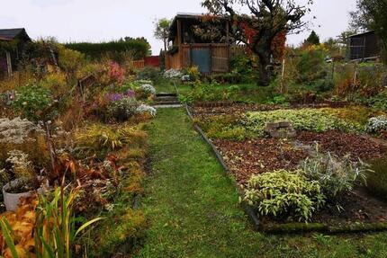 Grundstück Chemnitz Ebersdorf - 400&euro; | Angebot:25257232