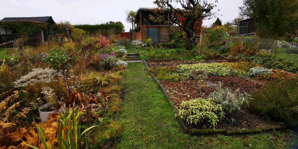 Grundstück Chemnitz Ebersdorf - 400&euro; | Angebot:25257232