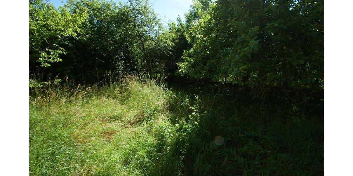 Grundstück Chemnitz Einsiedel - 199.000&euro; | Angebot:25999142