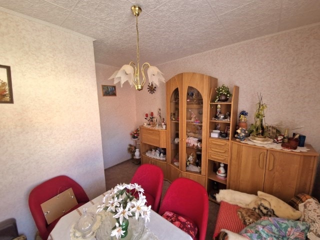 Wohnhaus mit schönem Grundstück in ruhiger Lage! 5 zimmer