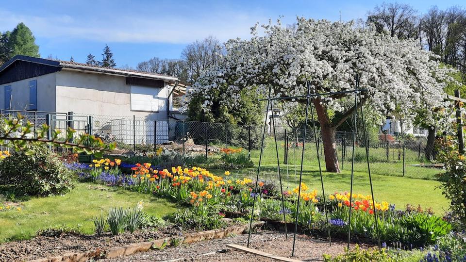 Grundstück Chemnitz Klaffenbach - 150&euro; | Angebot:25300030