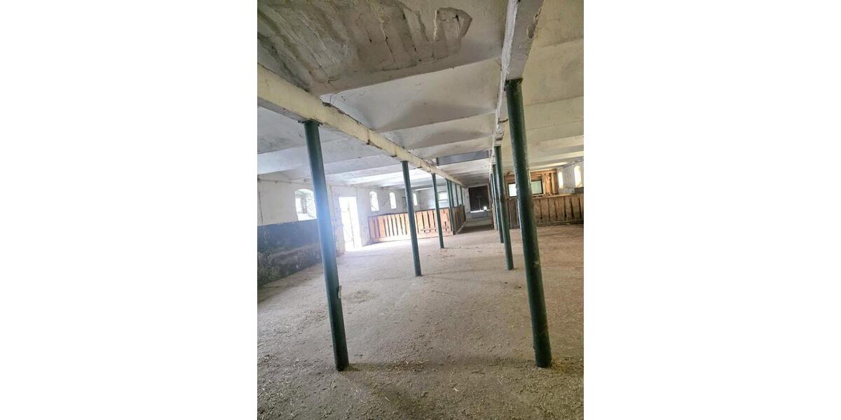Pferdestallanlage mit Weideflächen in Kriebstein OT Ehrenberg zur Pacht! - Gewerbeobjekt Kriebstein Ehrenberg | Angebot:27180204