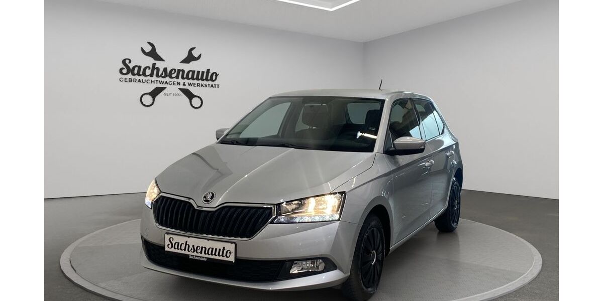 Skoda Fabia 35.250 km 11.000 € Hartenstein 08118