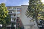 Erdgeschoßwohnung Chemnitz Altendorf - 1 Zimmer, 34 m&sup2;, 201&euro; | Angebot:25762676