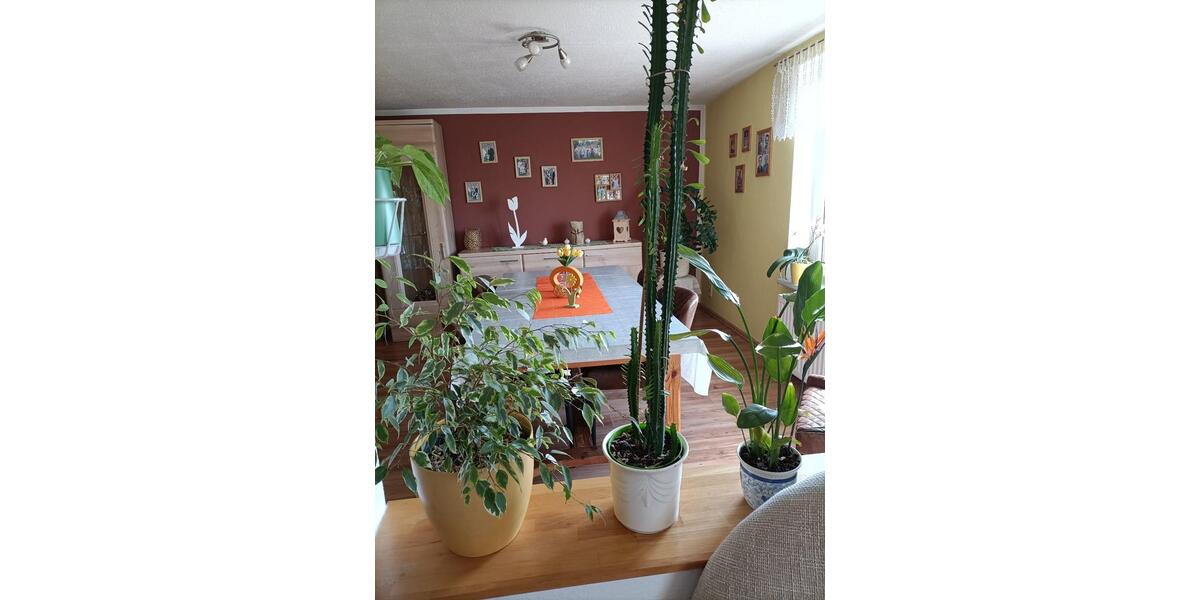 Mehrfamilienhaus, Wohnhaus Oederan - 249.000&euro; | Angebot:26763684