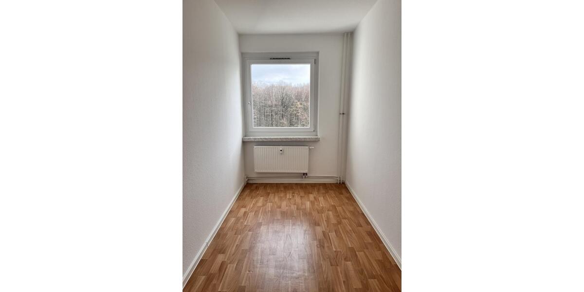 Etagenwohnung Chemnitz Klaffenbach - 3 Zimmer, 56 m&sup2;, 282&euro; | Angebot:26614843