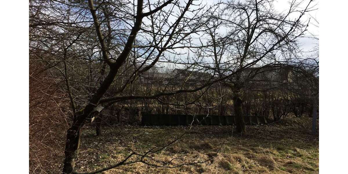 Großes Baugrundstück mit Altbestand am Waldrand in idyllischer Lage zimmer