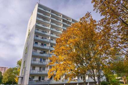Wohnung Chemnitz Markersdorf - 1 Zimmer, 36 m&sup2;, 215&euro; | Angebot:26793932