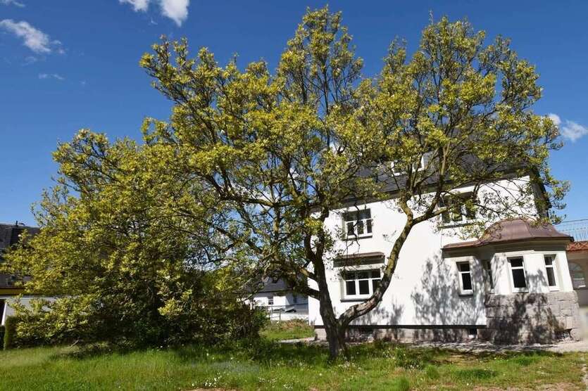 Haus zum Mieten in Oberlungwitz 2.050 € 170 m²